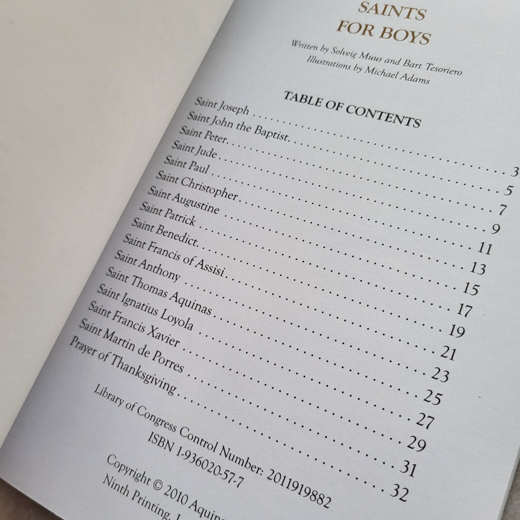 Saints for Boys by Solveig Muus and Bart Tesoriero (USED)