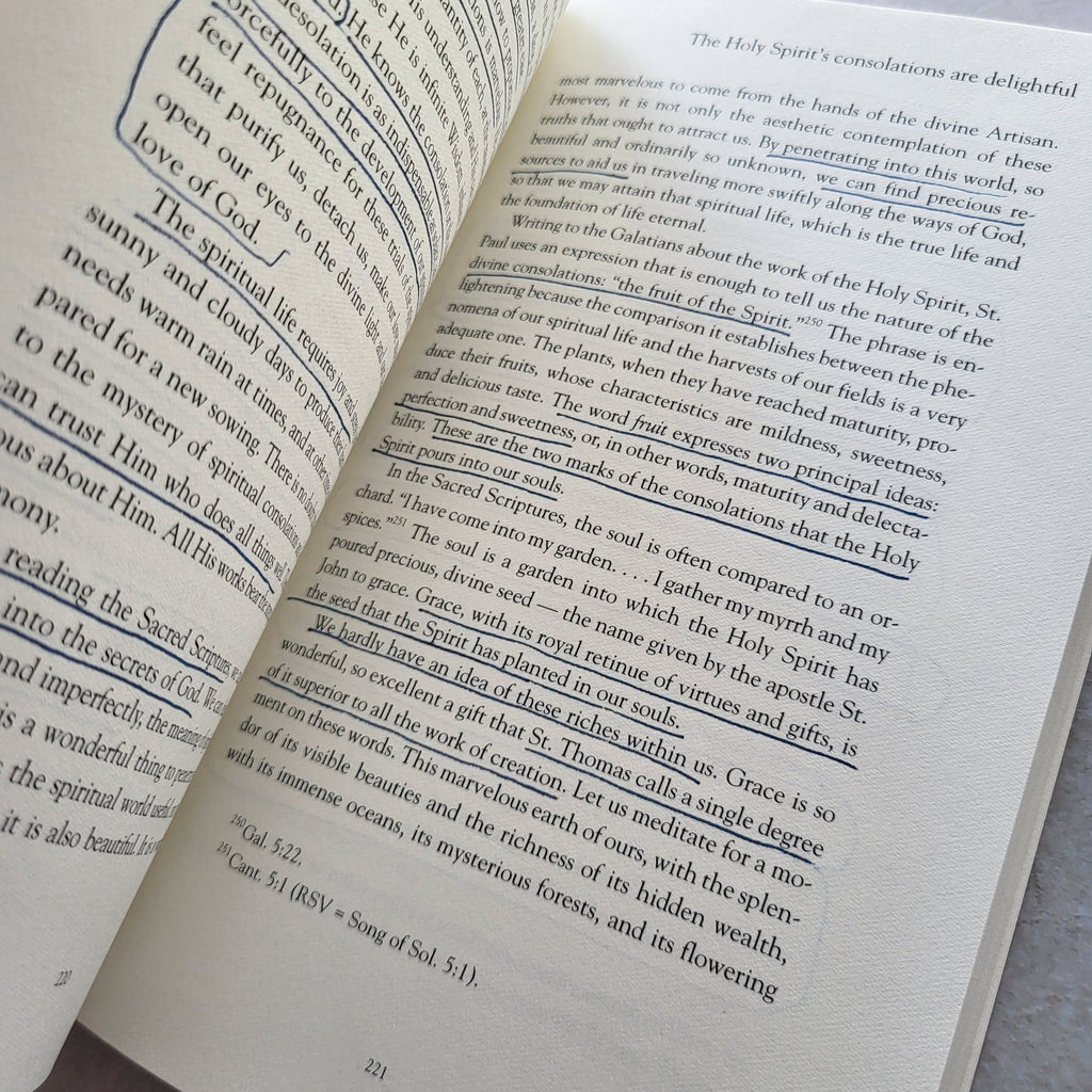 True Devotion to the Holy Spirit By Luis M Martienz (USED)