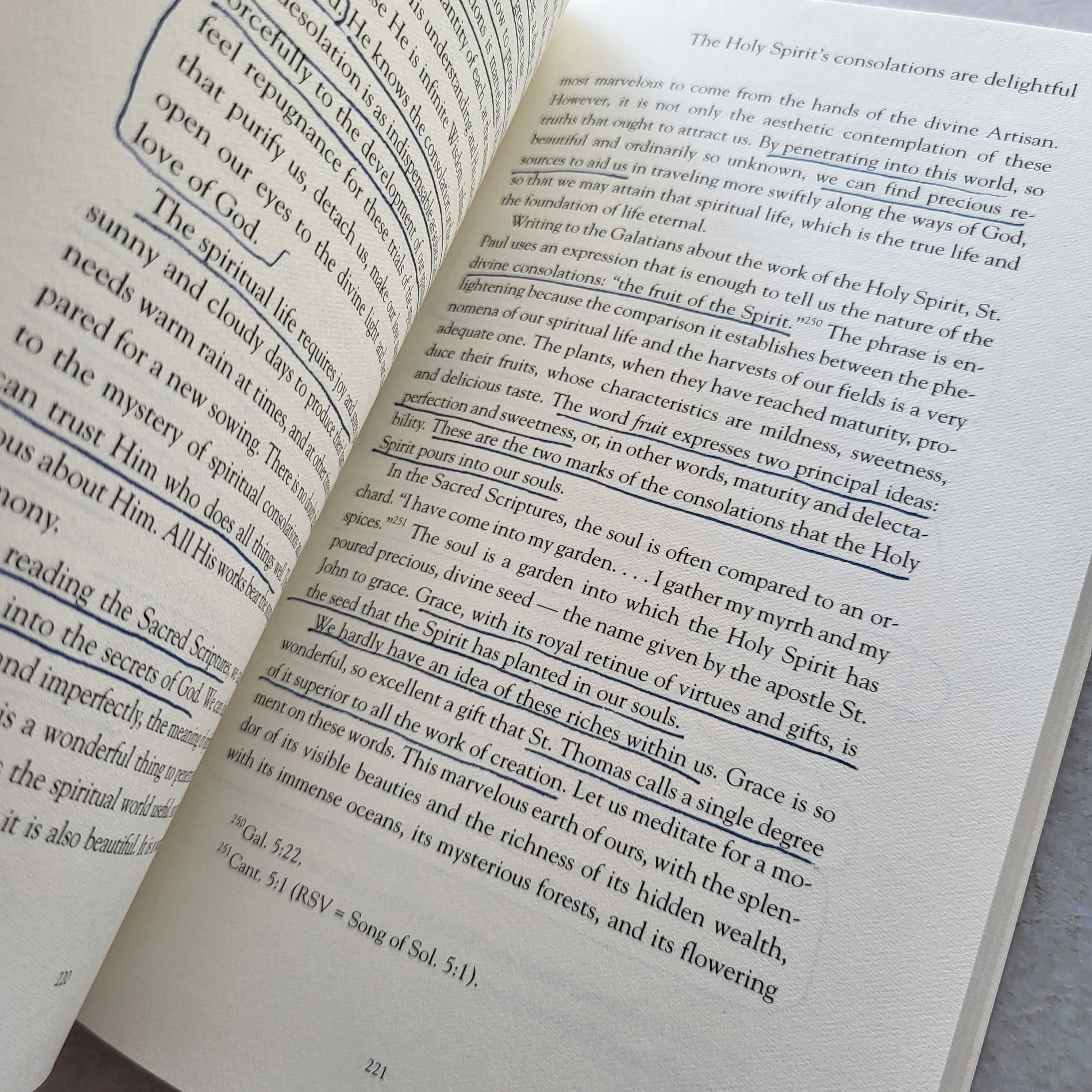 True Devotion to the Holy Spirit By Luis M Martienz (USED)