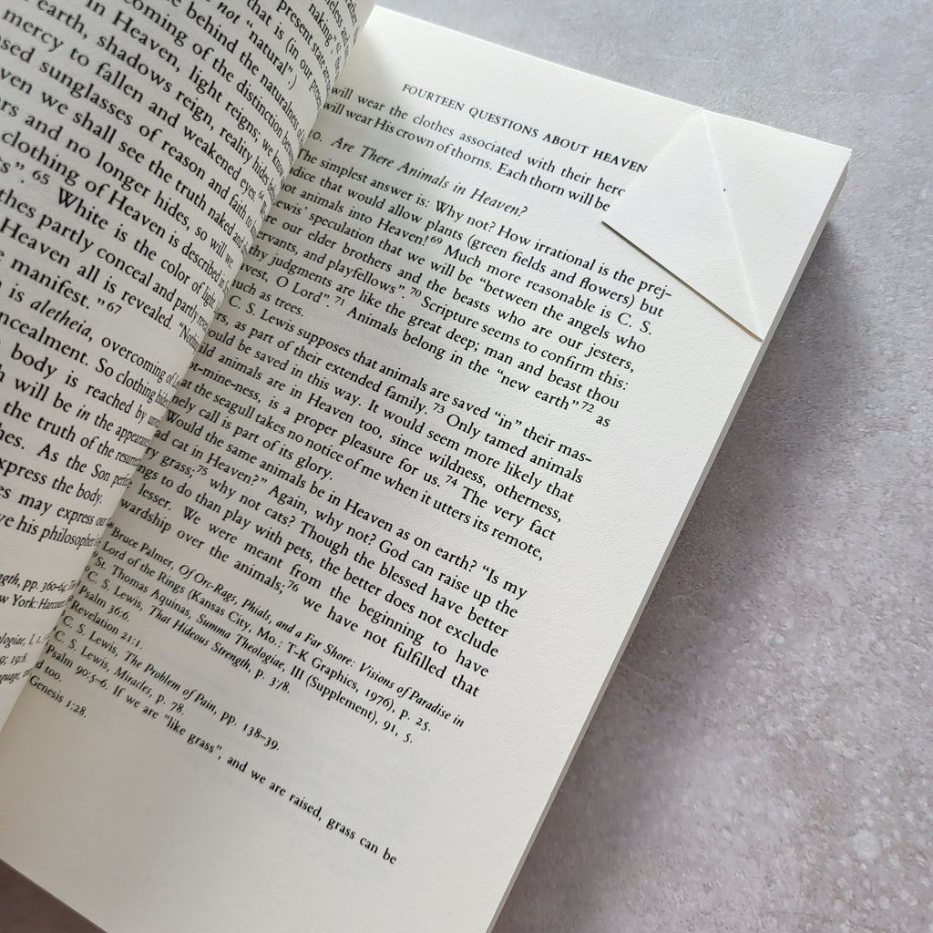 Everything You Ever Wanted to Know About Heaven by Peter Kreeft (USED)