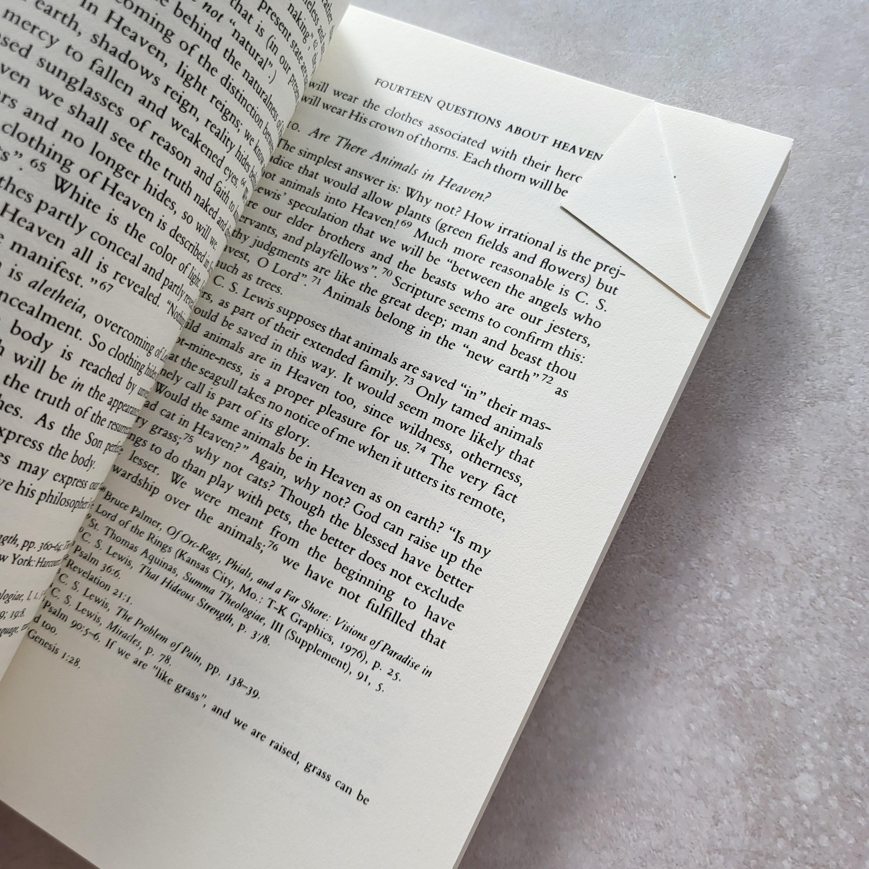 Everything You Ever Wanted to Know About Heaven by Peter Kreeft (USED)